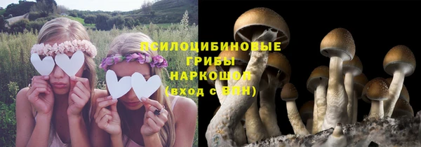 трава Майский