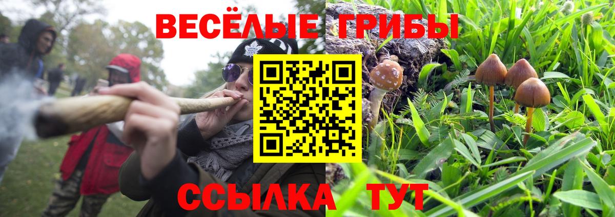 наркотики  Псилоцибиновые грибы Psilocybe  Вход с VPN  Новокубанск  Галлюциногенные грибы Magic Shrooms 